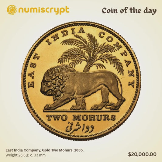 Canva Templates for Coin Collectors